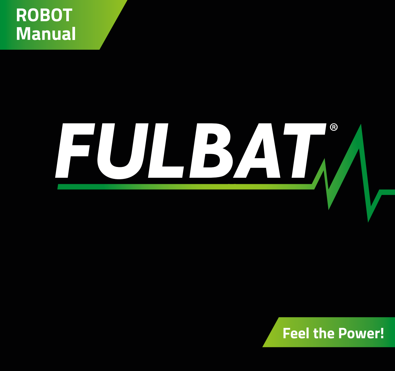 Fulbat Lithium Battery Manual