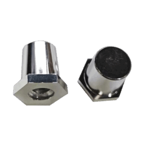 Vignette-T11-Femelle